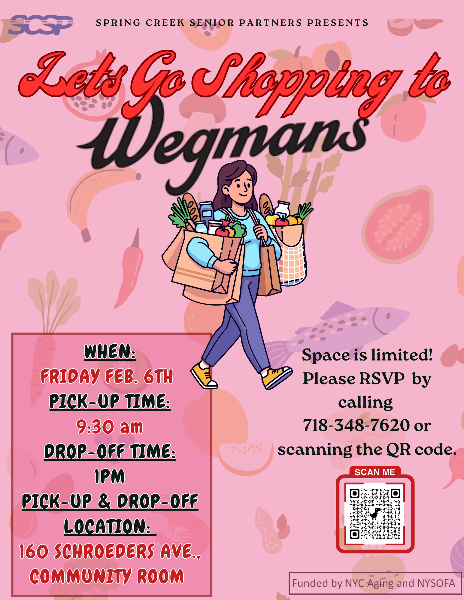 Wegmans Shopping Trip